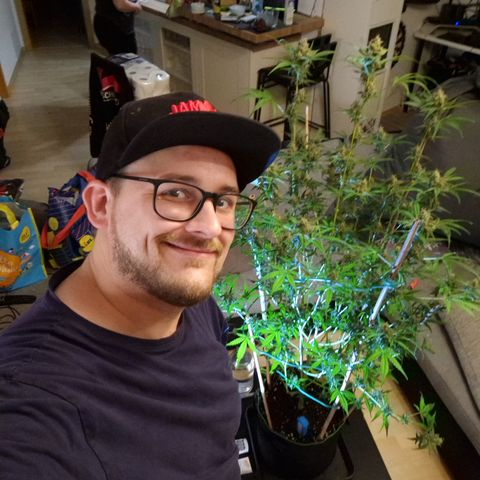 Royal Runtz Automatic growlog timeline photo
