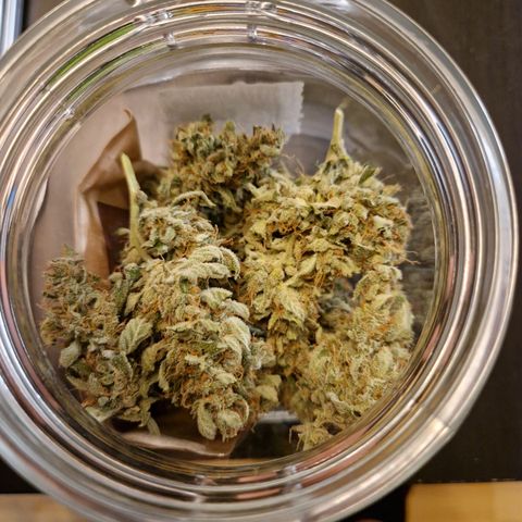 Cookies Gelato Automatic growlog timeline photo
