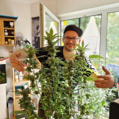 Critical Pheno#2//Mutter growlog timeline photo