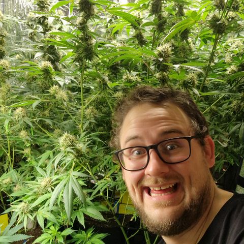 Critical "BigMama" #5 growlog timeline photo