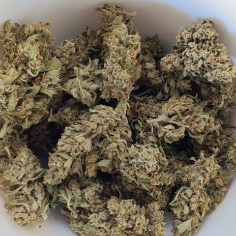 Bruce Banner XXL Auto growlog timeline photo