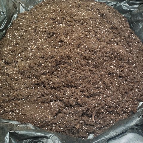 Blue Dream growlog photo: 100l BioBizz Light Mix, 50l Coco