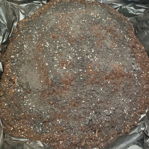 Blue Dream growlog photo: 1kg vulcanized basalt