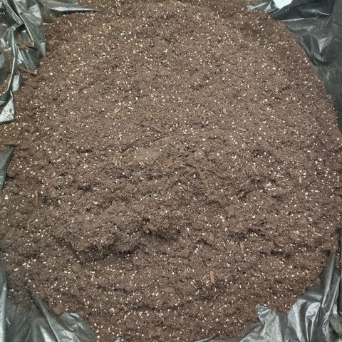 Blue Dream growlog photo: Everything mixed up and got watered with compost tea