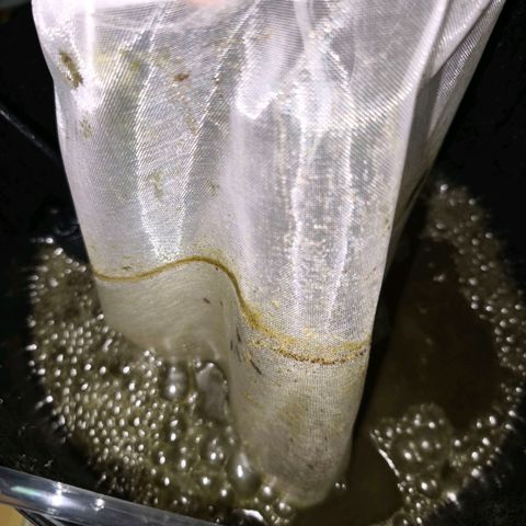 Mimosa x Orange Punch [GrowIsland] growlog photo: Compost tea will brew about 29h. Tomorrow 8pm I will give the tea to my plants