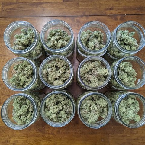 Grandpas Cookies growlog timeline photo