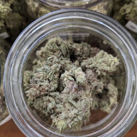 Grandpas Cookies growlog timeline photo