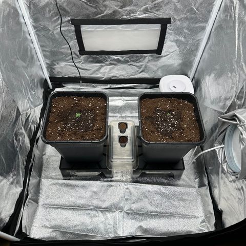 Critical Auto  growlog timeline photo