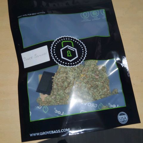 Auto Bruce Banner growlog timeline photo