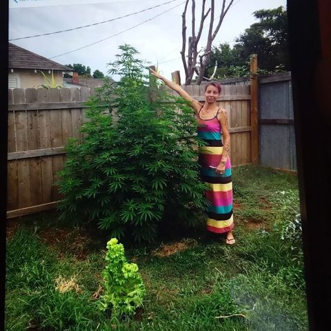 Skittles growlog timeline photo