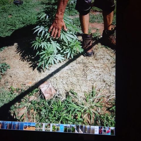Skittles growlog timeline photo