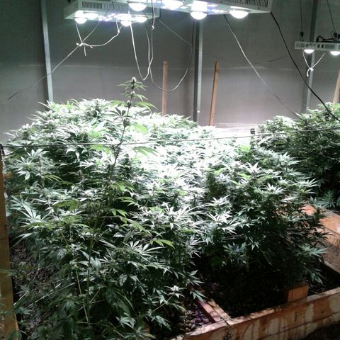 Skittles growlog photo: Freezing temps, reel feel -2