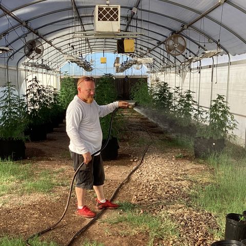 Skittles growlog timeline photo
