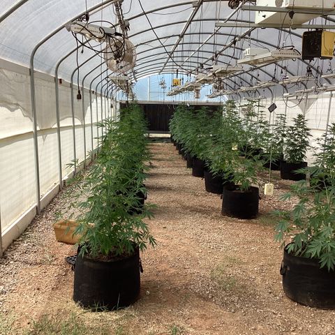 Skittles growlog timeline photo