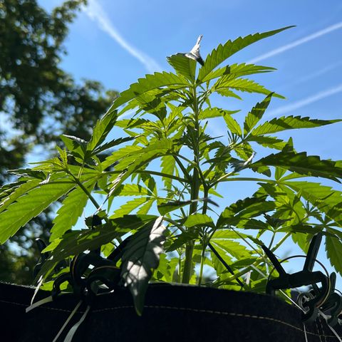 Tanja growlog photo: 😍