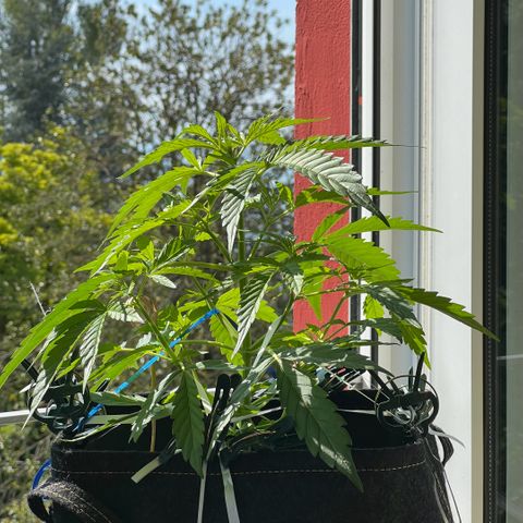 Tanja growlog photo: 😍