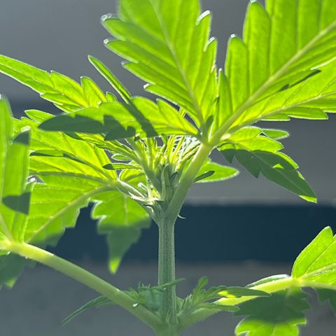 Tanja growlog photo: 😍