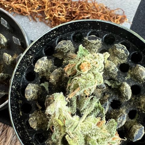 Thea growlog photo: Start curing and one test