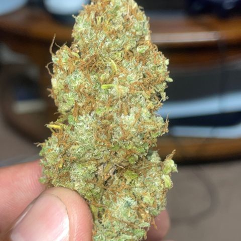 Rock Steady Cookies  growlog photo: Don’t..🤞🏾