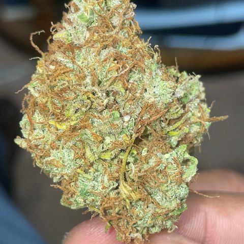 Rock Steady Cookies  growlog photo: Don’t..🤞🏾