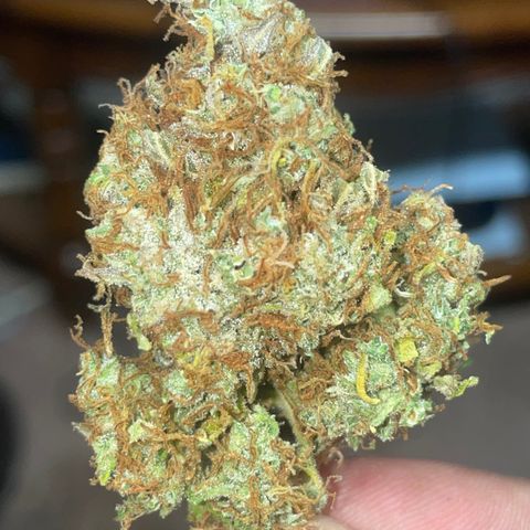 Rock Steady Cookies  growlog photo: Don’t..🤞🏾
