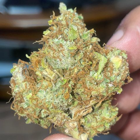 Rock Steady Cookies  growlog photo: Don’t..🤞🏾