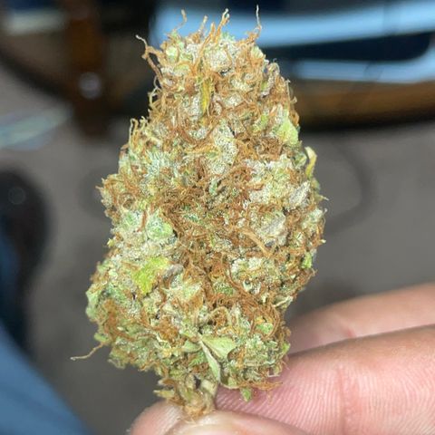 Rock Steady Cookies  growlog photo: Don’t..🤞🏾