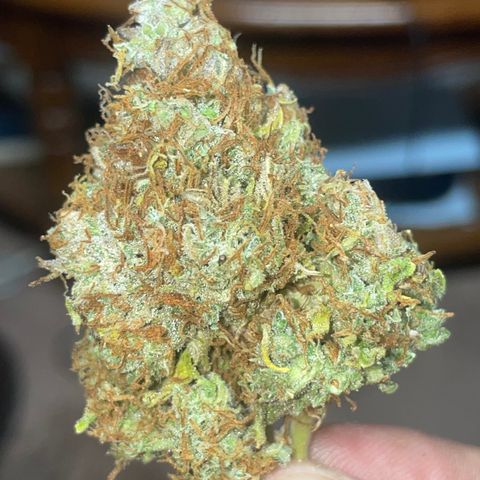 Rock Steady Cookies  growlog photo: Don’t..🤞🏾