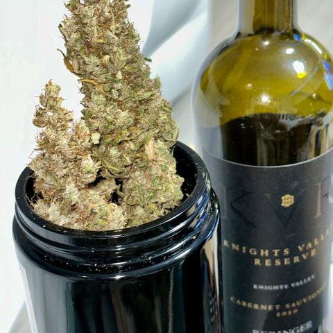 Shogun growlog photo: To curing