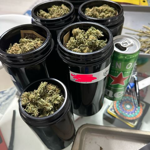 Shogun growlog photo: All done! Last time for me 😅