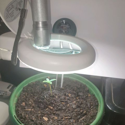 Jenna  growlog photo: Looking good 