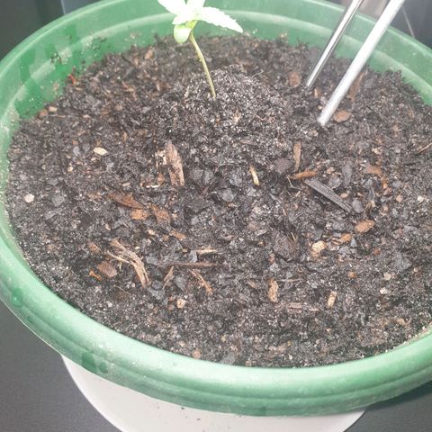 Jenna  growlog timeline photo