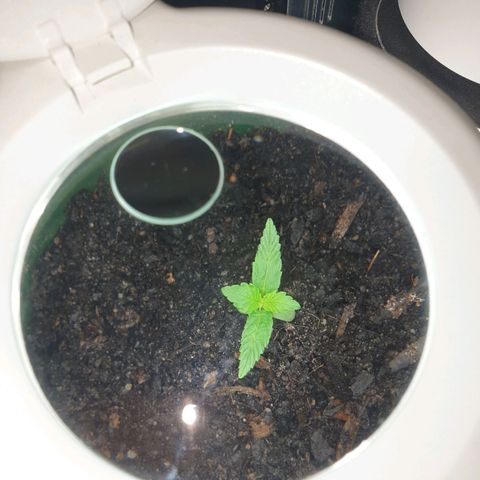 Jenna  growlog timeline photo