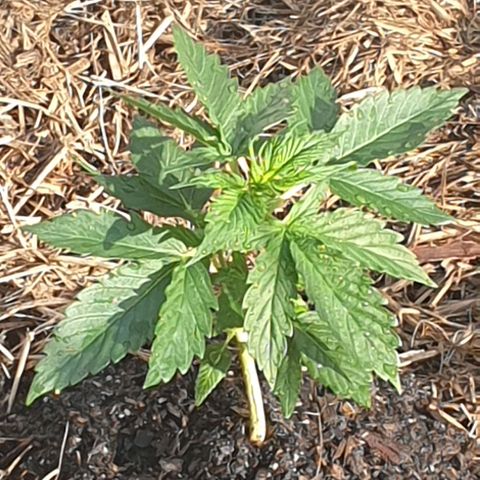 Jenna  growlog timeline photo
