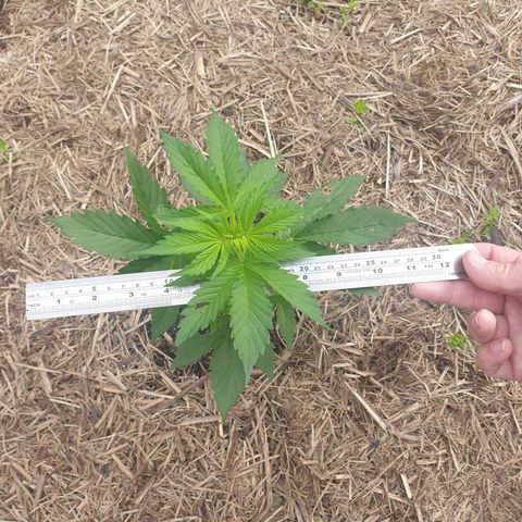 Jenna  growlog timeline photo