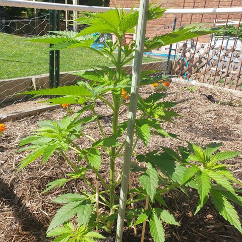 Jenna  growlog timeline photo