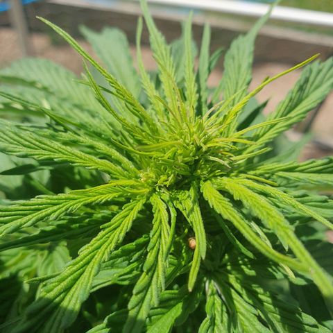 Jenna  growlog timeline photo