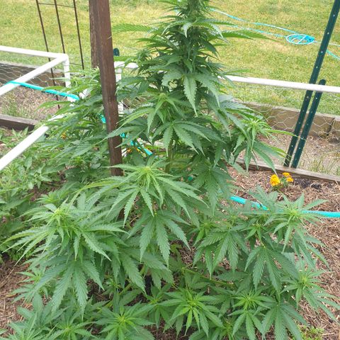 Jenna  growlog timeline photo