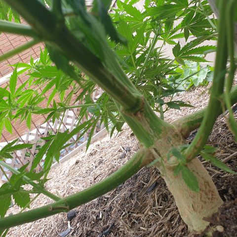 Jenna  growlog timeline photo