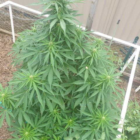 Jenna  growlog timeline photo