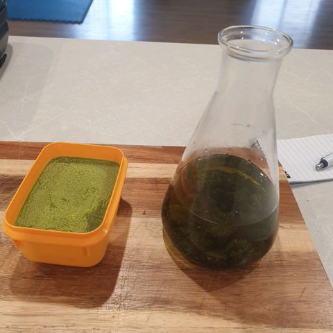 Jenna  growlog photo: Trim, oil and concentrate attempts 