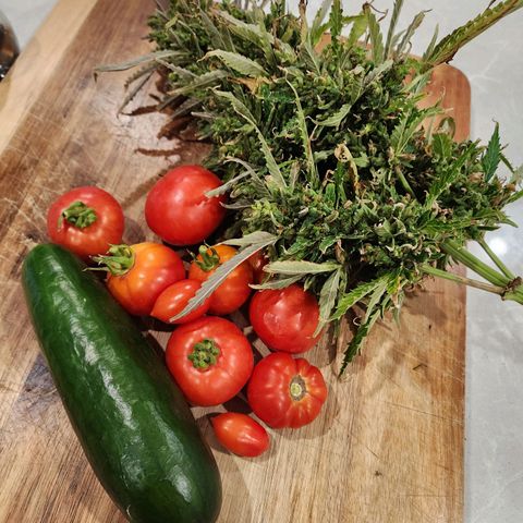 Jenna  growlog photo: 240g wet not a bad haul from the garden this morning ;-) 