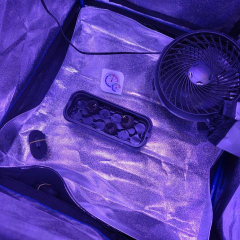 RoMelly growlog timeline photo