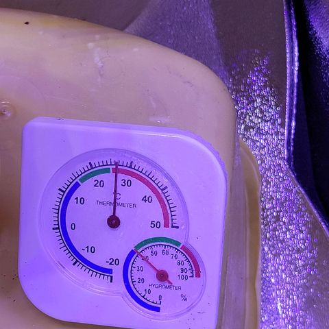 RoMelly growlog timeline photo