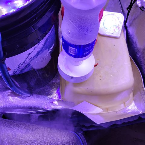 RoMelly growlog timeline photo
