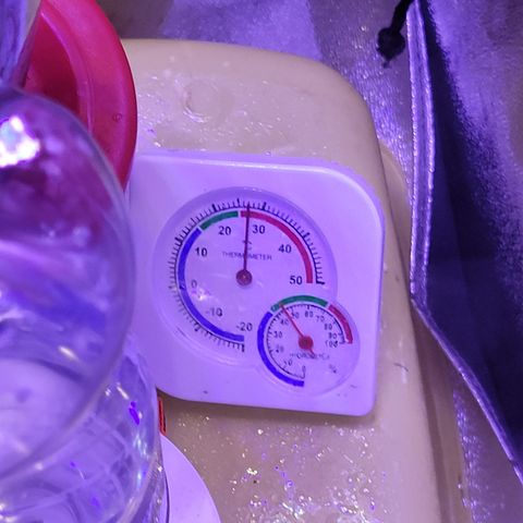 RoMelly growlog timeline photo