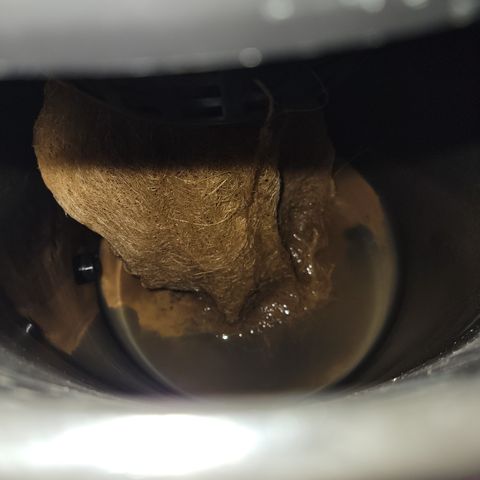 RoMelly growlog timeline photo
