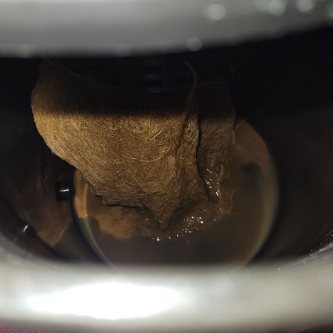 RoMelly growlog timeline photo