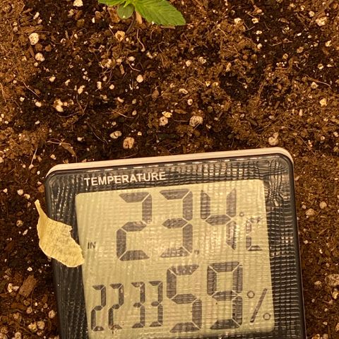 Harmony growlog timeline photo