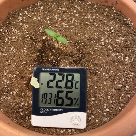 Harmony growlog timeline photo